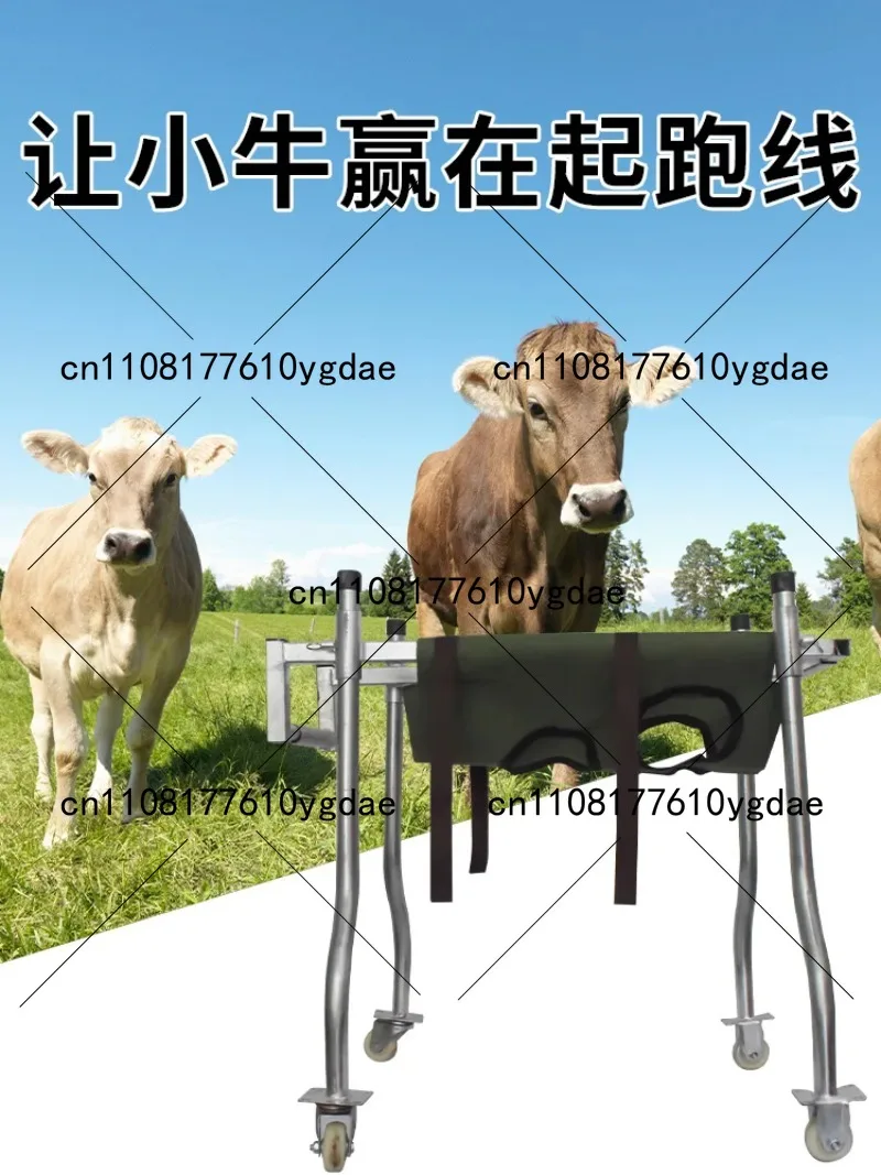 Reinforce  Walker Calves Rehabilitation Trucks Calves Standing Equipmentcattle Farm Supplies