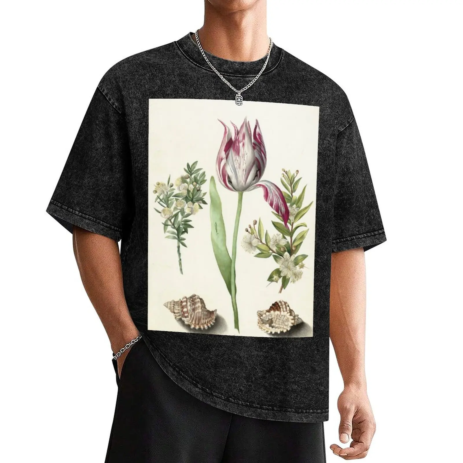 Tulip, two Branches of Myrtle and two Shells Maria Sibylla Merian c. 1700 T-Shirt anime tshirt mens fashion