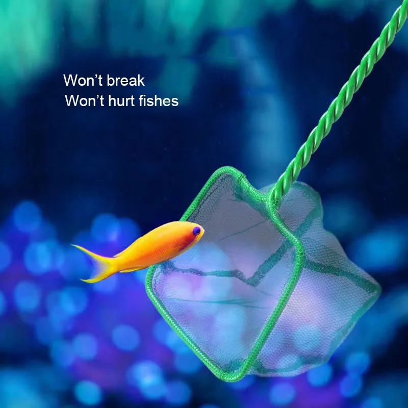 Sturdy Aquarium Fish Tank Fishing Net Aquarium Accessories Hangable Square Net Landing Net for Fish Durable Products Fine Mesh - AliExpress 15 Sturdy Aquarium Fish Tank Fishing Net Aquarium Accessories Hangable Square Net Landing Net for Fish Durable Products Fine Mesh - AliExpress 15