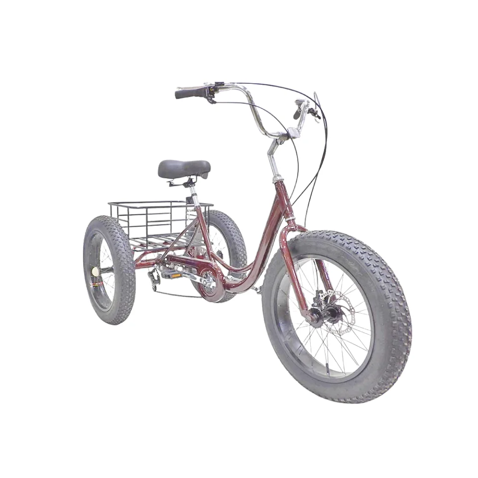 

20-inch Tricycle 7-speed Tricycle Fat Tire Three-wheeled Bicycle Three-wheeled Bike