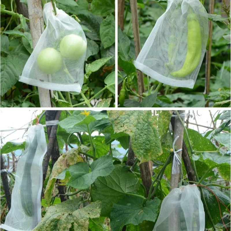 Sacchetti di protezione della frutta da 50 pezzi sacchetti di rete da giardino Anti-uccello borsa a rete per uva fragola copertura per rete vegetale