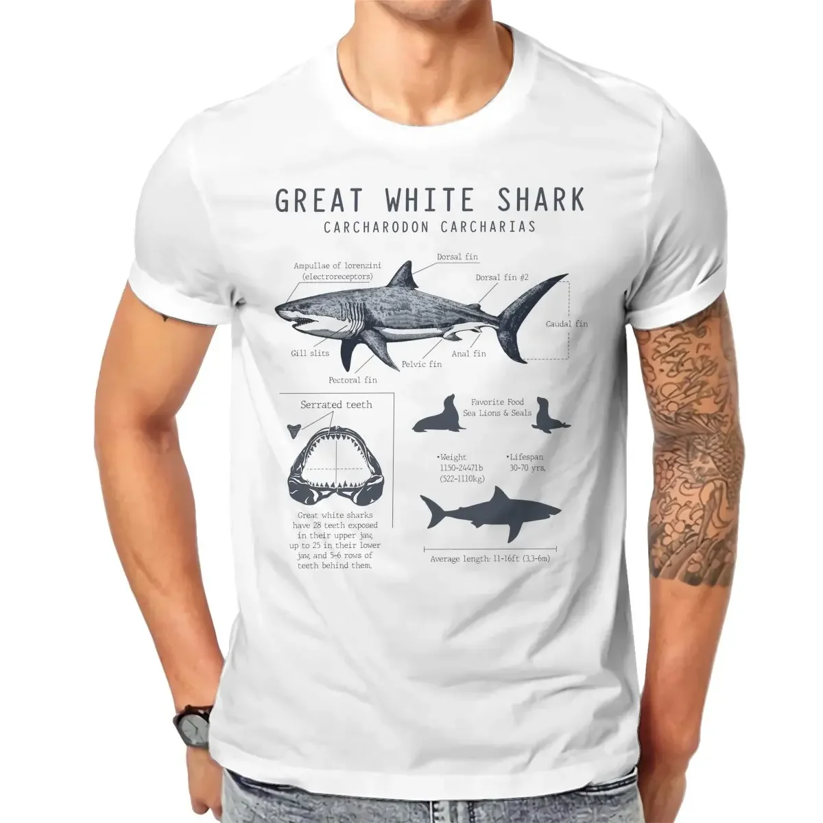 Summer Unisex T-shirts Vintage Sea Animals Great White Shark Anatomy, Marine Biology Biologist Summer top Street Clothing