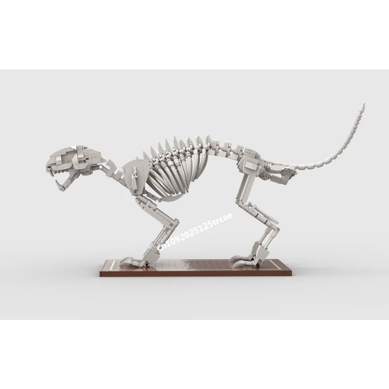 جديد 722 قطعة سلسلة عرض رائجة البيع القط الهيكل العظمي نموذج اللبنات Diy بها بنفسك الأفكار الإبداعية الاطفال اللعب هدايا عيد الميلاد