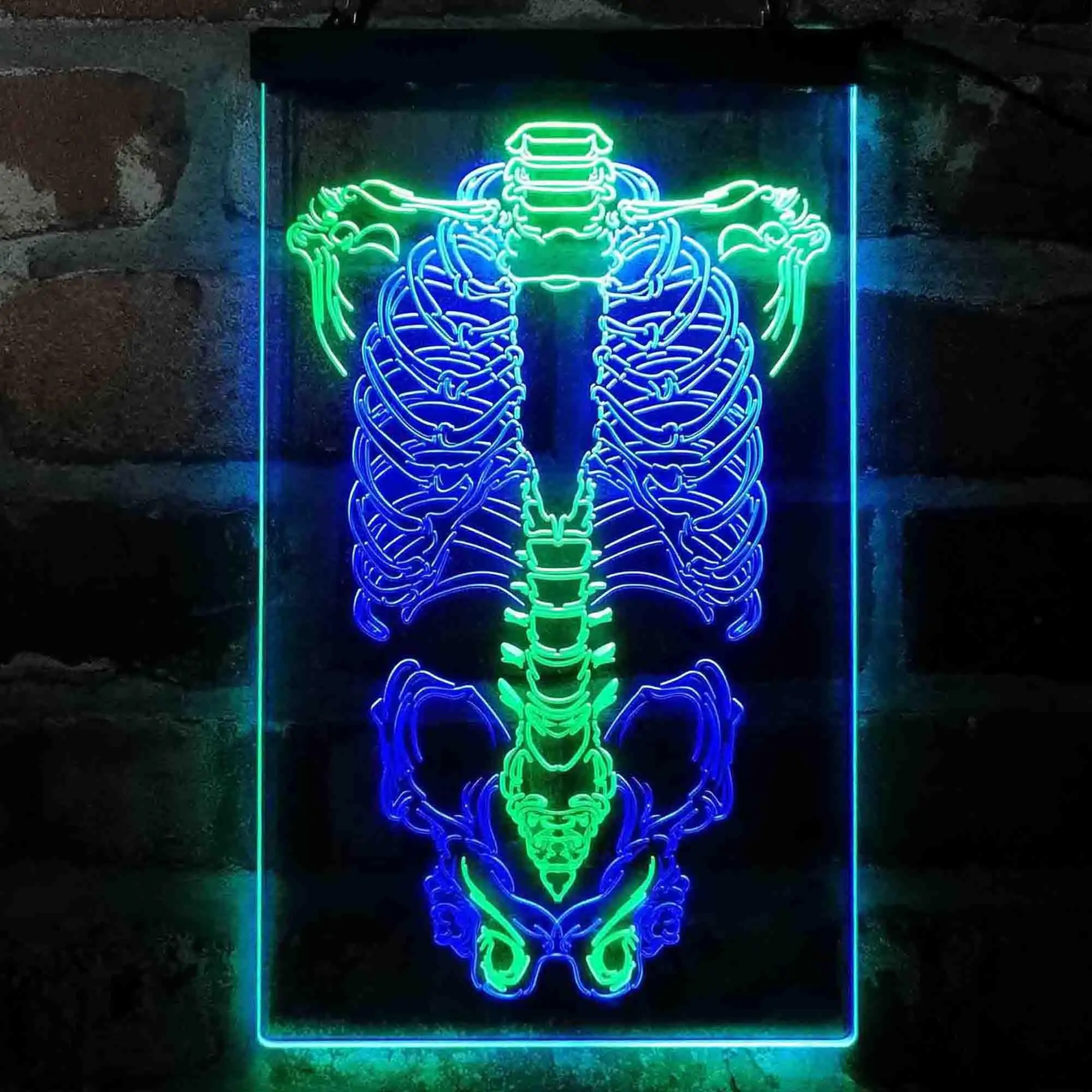 Human Body Skeleton Bond Art Dual-color LED Neon Sign st6-i4063