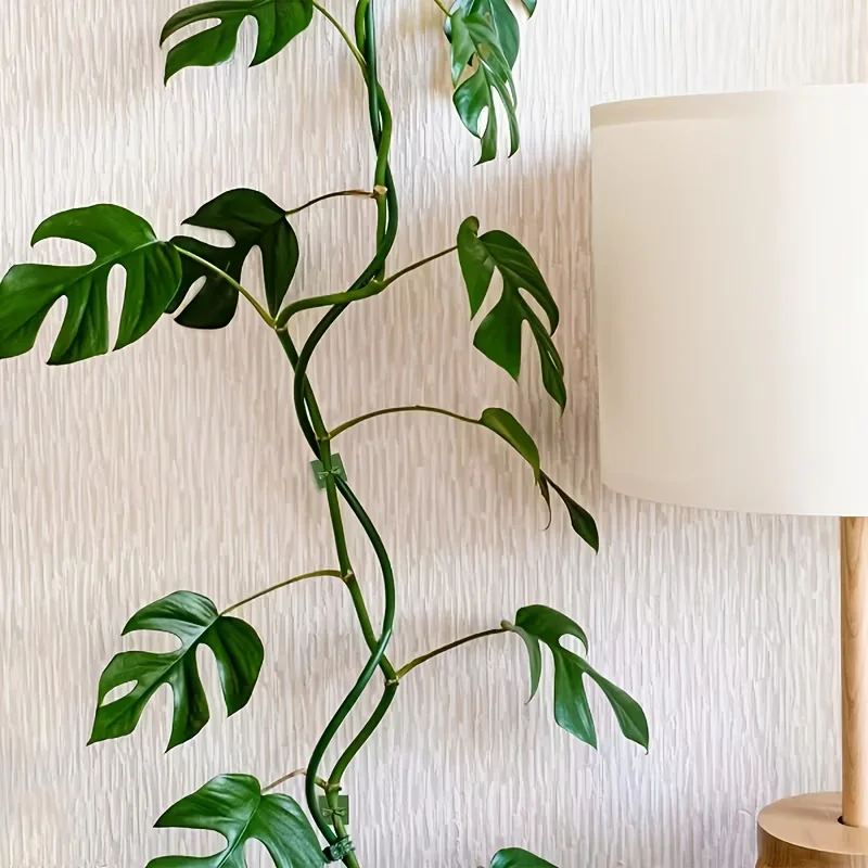 10-1000Pcs Home Garden Plant Climbing Wall Fixture Clips Rattan Vine Fixer Self-Adhesive Plant Climbing Wall Fixed Buckle Hook