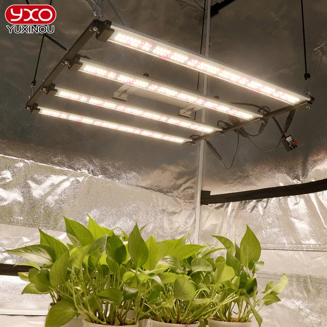 LM301h-植物栽培用の調整可能な光強度LEDライト,植物および屋内栽培用の植物ライトバー,240W,v5