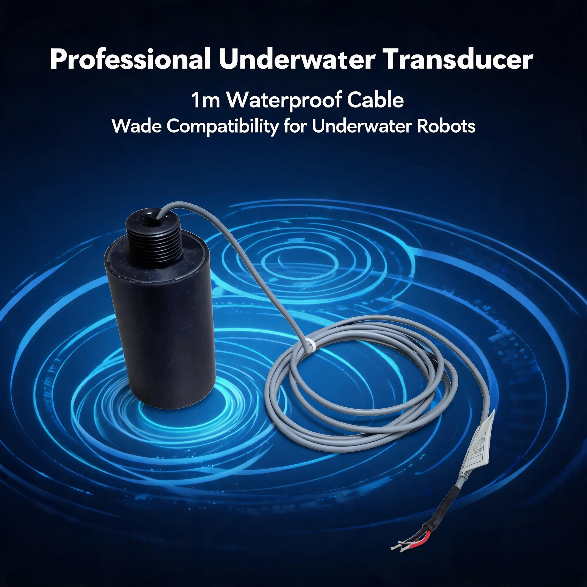 Factory Direct Supply 360° Omnidirectional Underwater Acoustic Transducer Waterproof ABS 12 Months Warranty for Marine Equipment