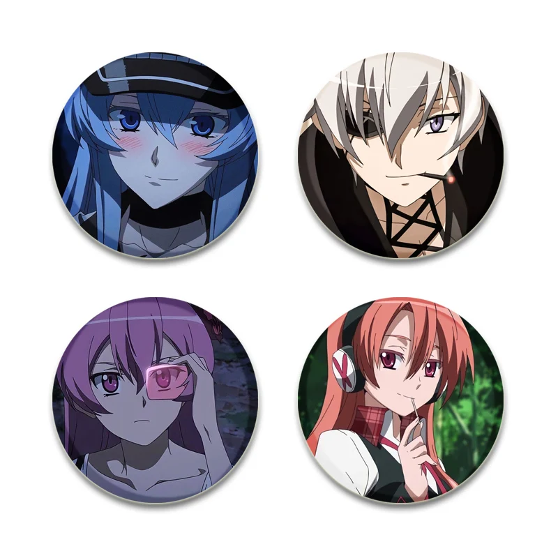 Anime Akame Ga Kill Handmade Pin Round Cartoon Snap-in Brooches for Backpack Cothes Accessories Collection Badge Hat Decoration