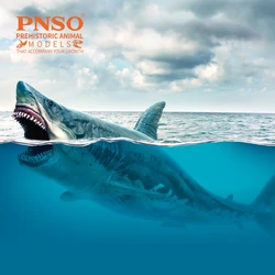 PNSO Prehistoric Animal Models: Patton The Megalodon (Big White Shark) 13