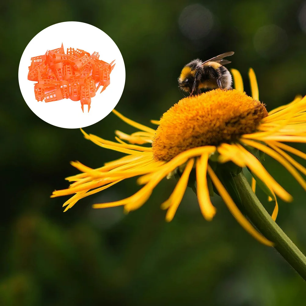 

100Pcs Bee Queen Cage Protective Cover Beekeeping Cell Shield Queen Rearing Tool Useful Beekeeper Supplies Plastic Bee Cage