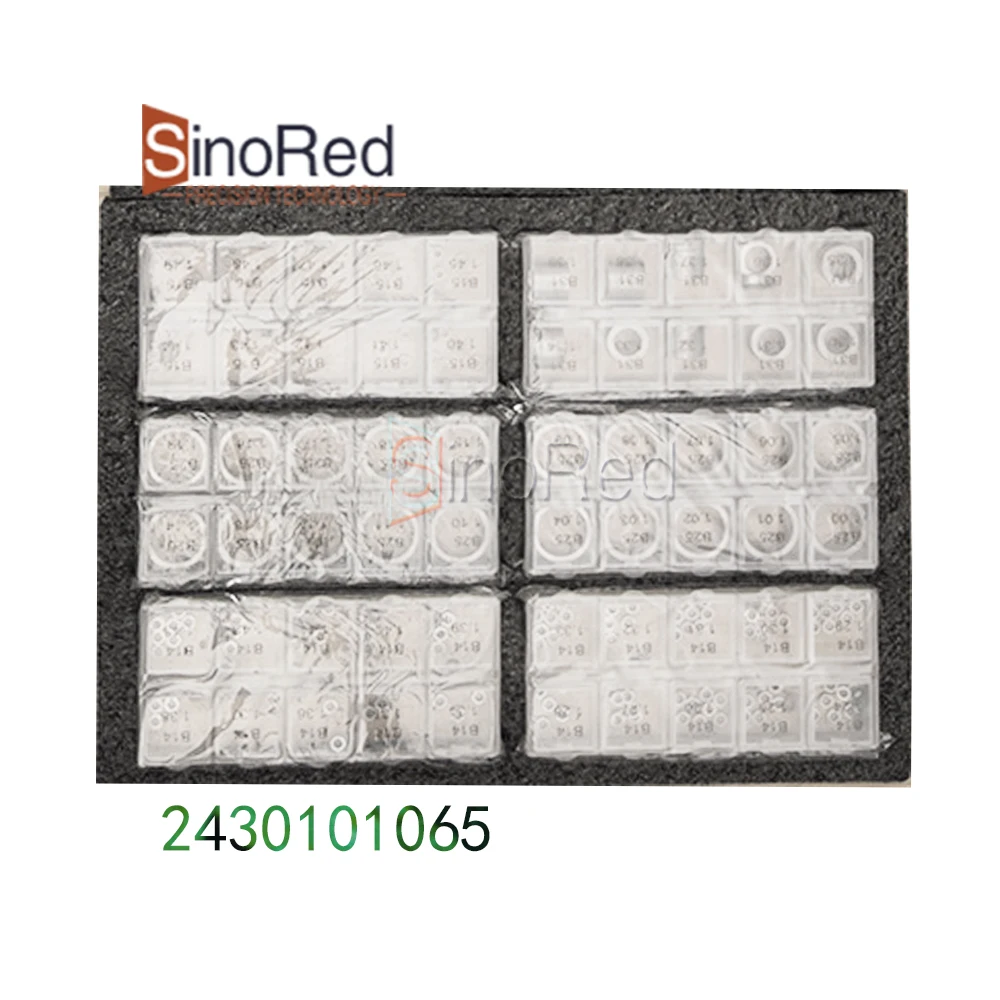 تخفيض السعر بيع 800 قطعة حشية حاقن وقود الديزل 2430101065 ضبط الرقائق #4