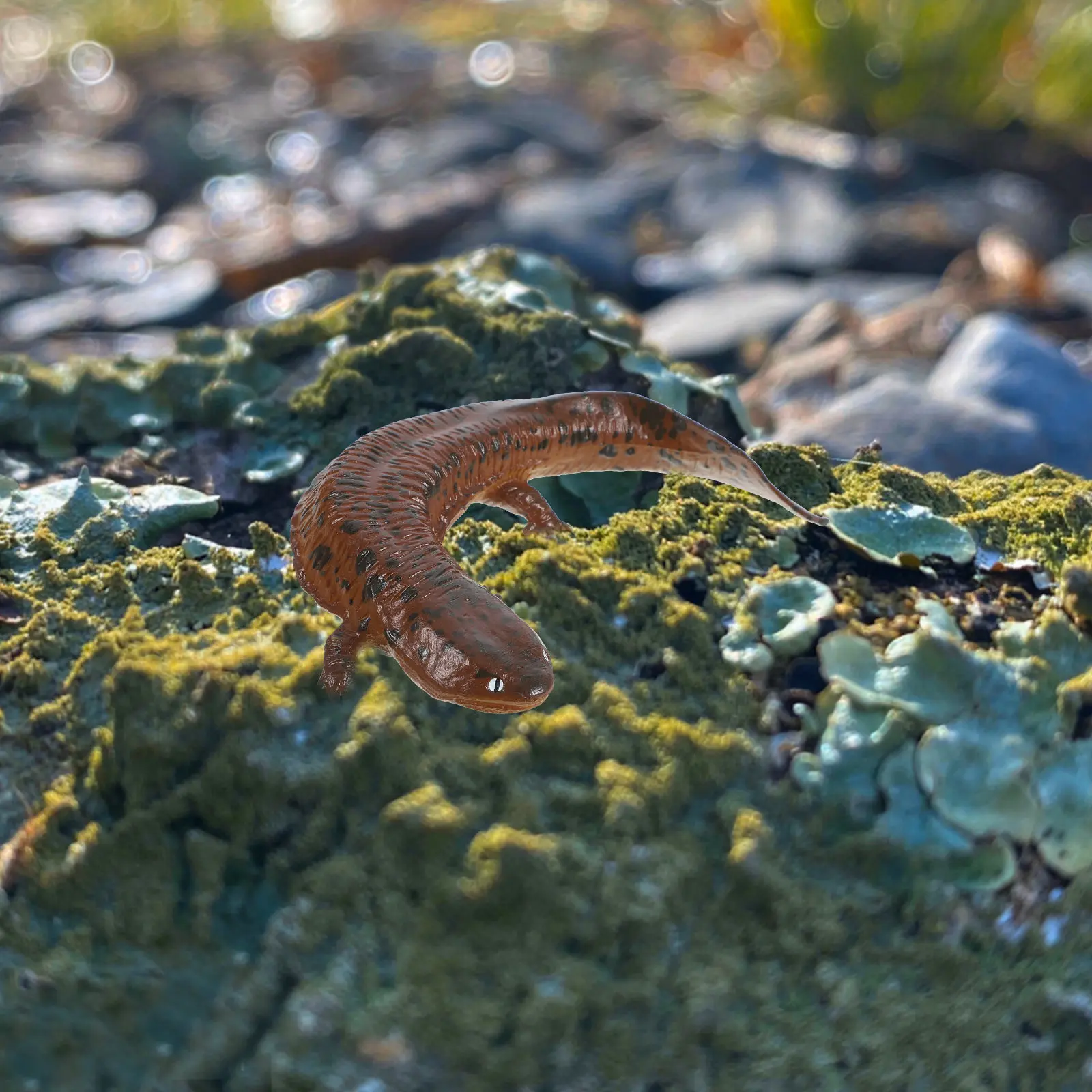 Realistic Salamander Simulation Figure Solid Hard Plastic Lifelike Educational Animal Decoration for Classroom Garden Home