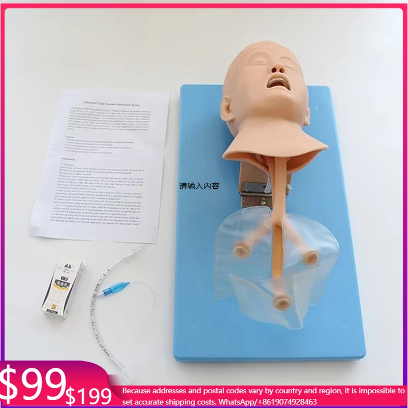 Human Simulation Child Airway Manikin For Medical Science Tracheal Intubation Teaching And Learning Anatomy