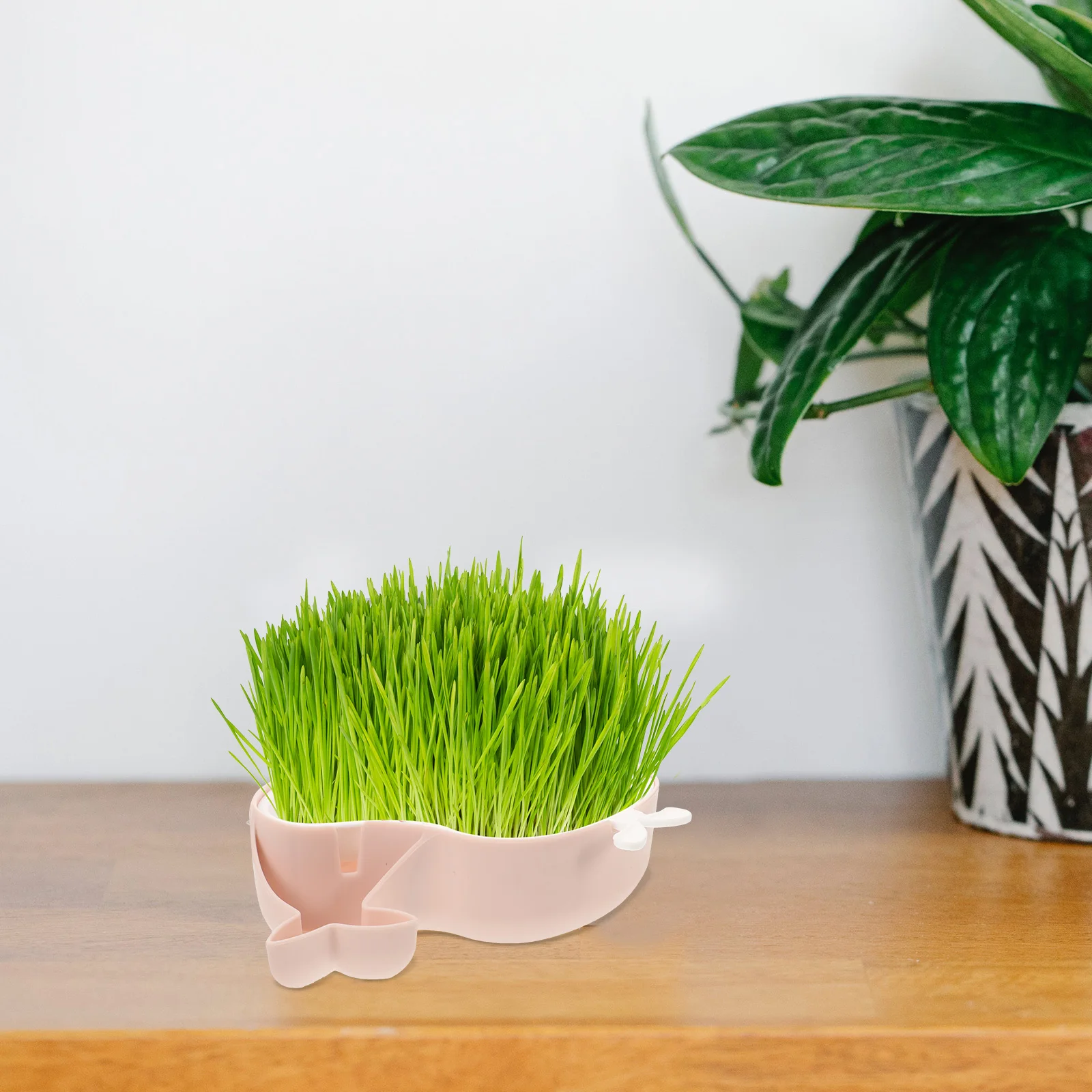 

Grass Blue Hydroponic Box Soilless Nursery Cat Grass Planter Planting Container Wheatgrass Pot Pets Practical Case Cat Bowl