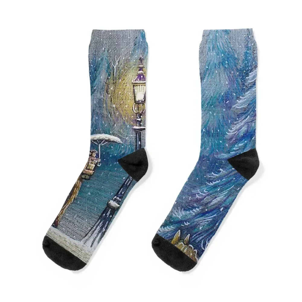 Narnia Magic Lantern Socks Men's crazy aesthetic Wholesale Men Socks Luxury Brand Women's