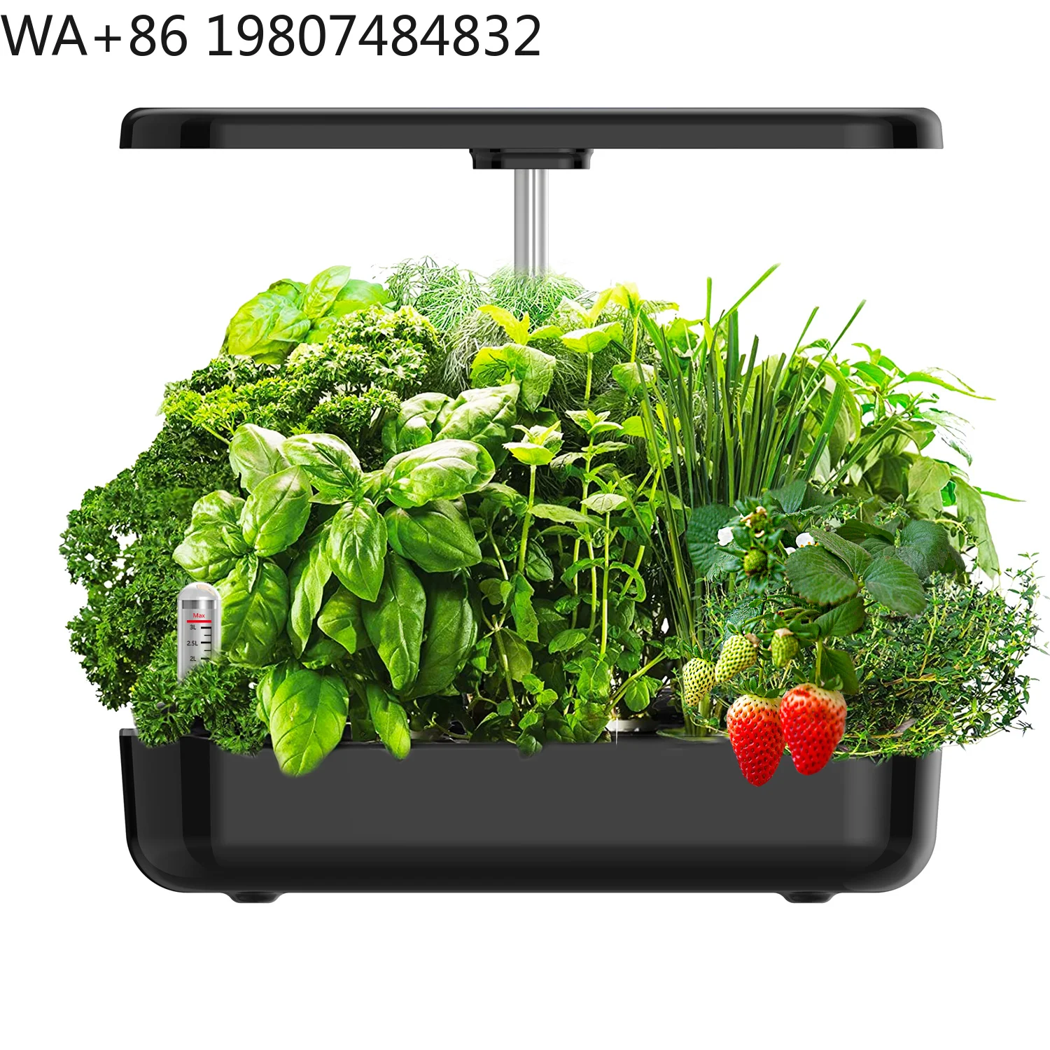 Hydroponic Grow Pod - 12 Bölmeli Yüksekliği Ayarlanabilir Hidroponik Yetiştirme