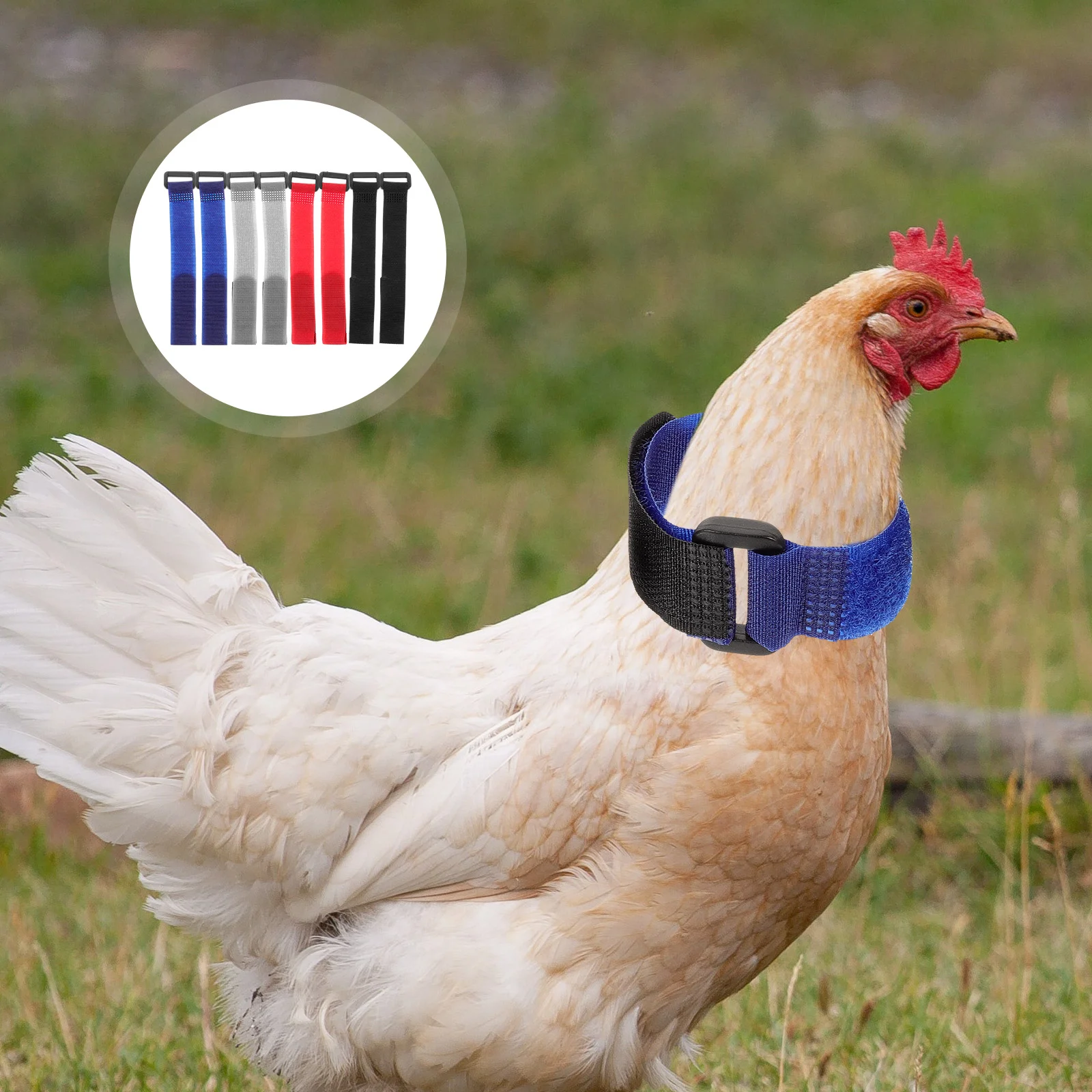 8 Pcs Stop-screaming Collars Chicken Neck Belts Flexible No Crowing Neckbands Noise Anti-crowing Rooster Nylon Crowing-proof