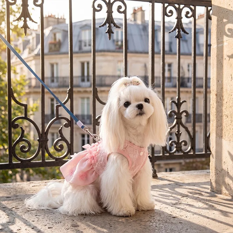 Falda encaje verano para perros cachorros teddy maltese