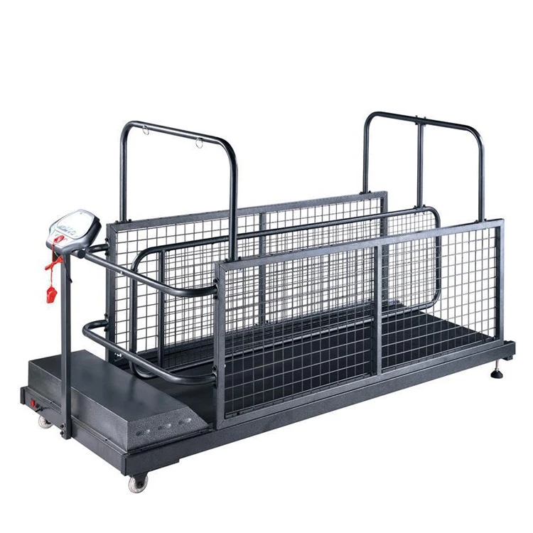 Electric Sport Treadmill Pet Underwater Dog Water Treadmill Machine Cheap Electrical Large Cat Dog Treadmill for Sale