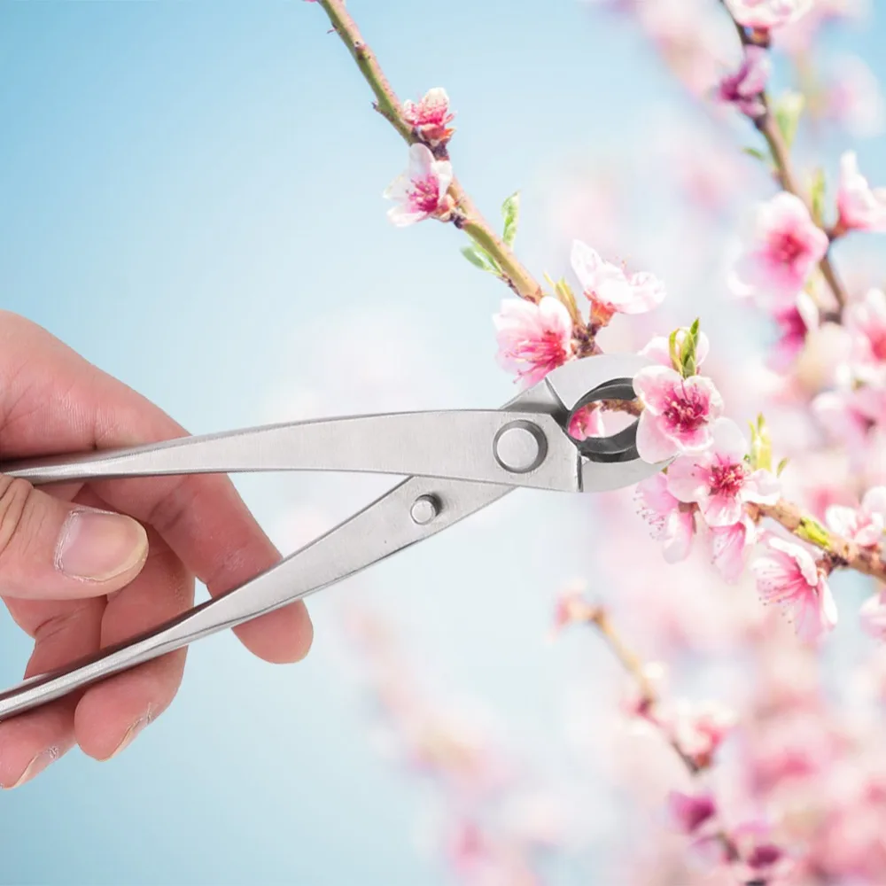 Professional Stainless Steel Branch Cutter Siliver Round Edge Concave Cutter Ergonomic Handle Multifunctional Bonsai Scissors
