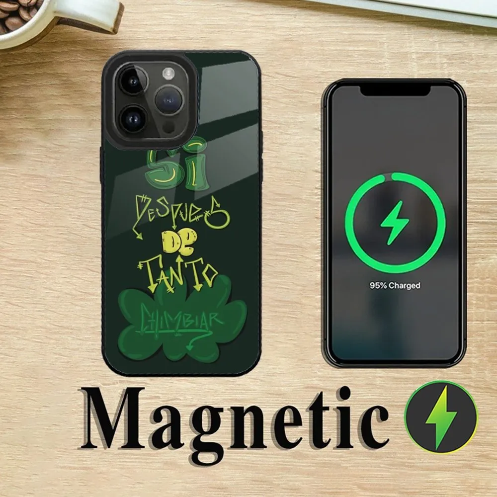 Singer F-Feid Ferxxo SIXDO-S Phone Case For iPhone 15,14,13,12,11,Plus,Pro,Max Mini Magsafe Magnetic Wireless Charging