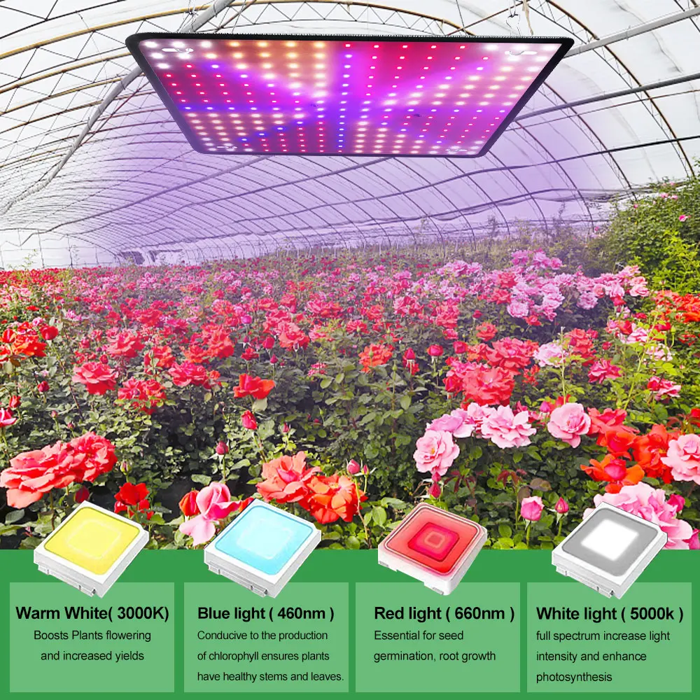 Full Spectrum Phytolamp para Plantas Crescendo e Floração, Phyto Lamp for Grow Tent Box, Lâmpada de Plantas de Interior, Mudas, 1000W