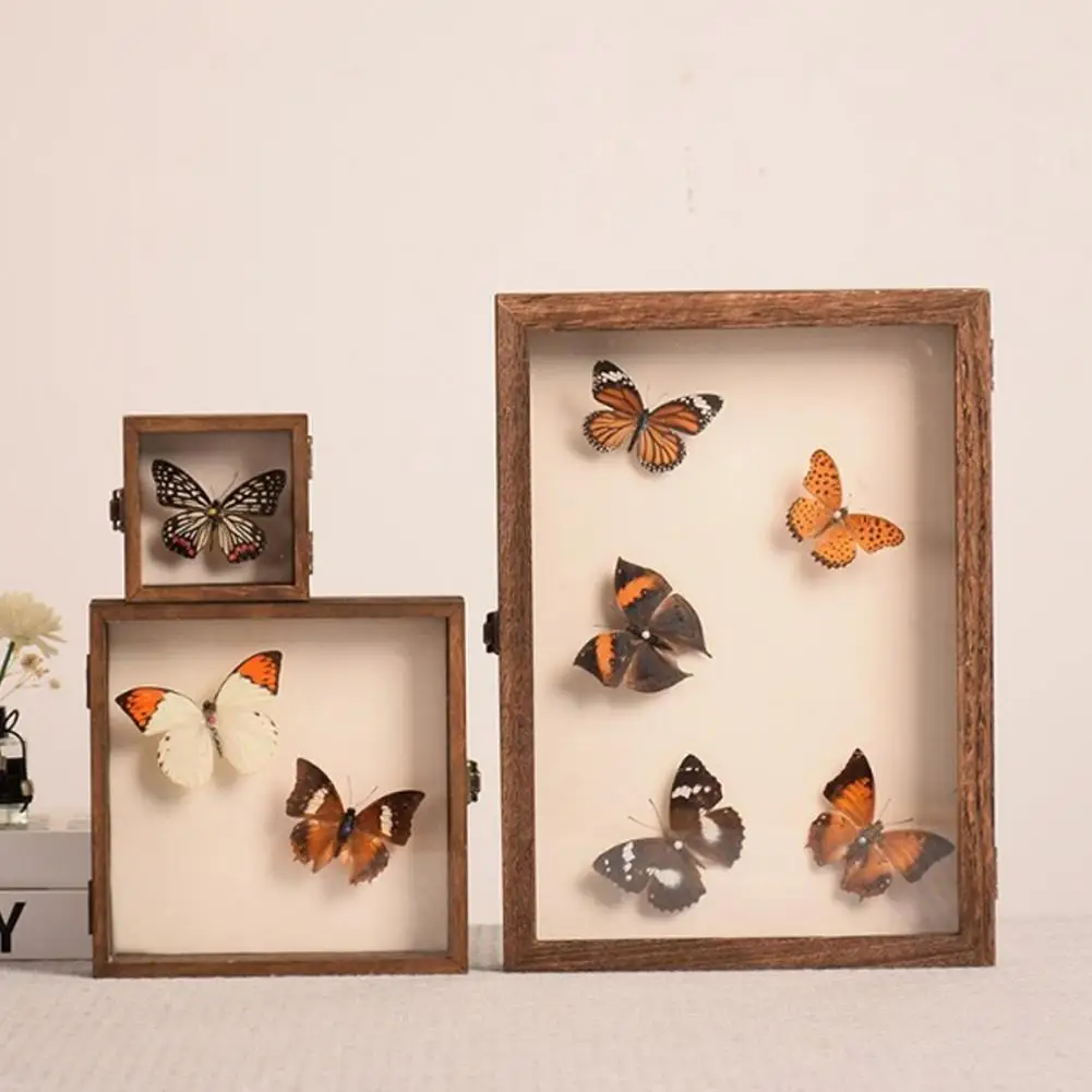 Insect Display Case Large Insect Shadow Box Wood Construction Multiple Sizes Smooth Edge Insect Specimens Storage Display Case