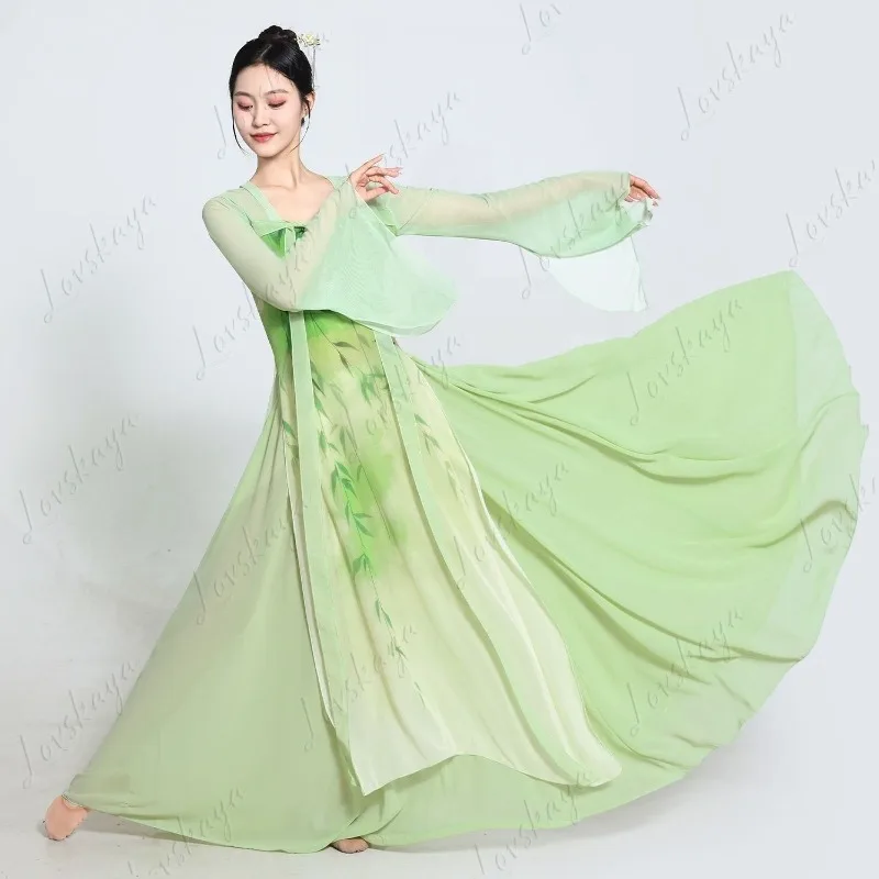 Chinese Han Tang Style Dance Outfit Lotus Print Sheer Garment for Performance