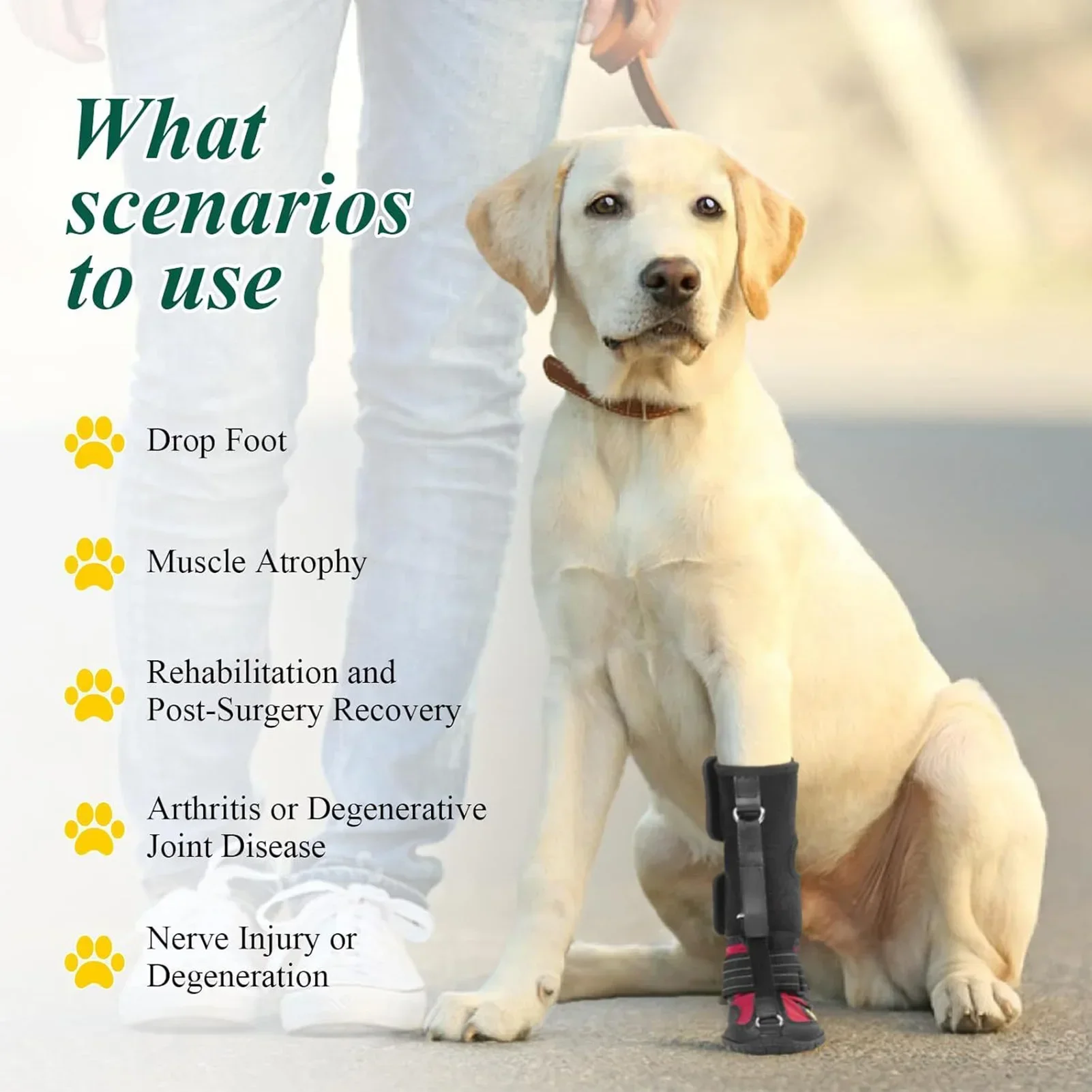 Pet Supplies, Anti Dirt, Anti Fall, Wear-resistant Dog Shoes, Breathable, Anti Slip, Reflective Dog Shoes At Night