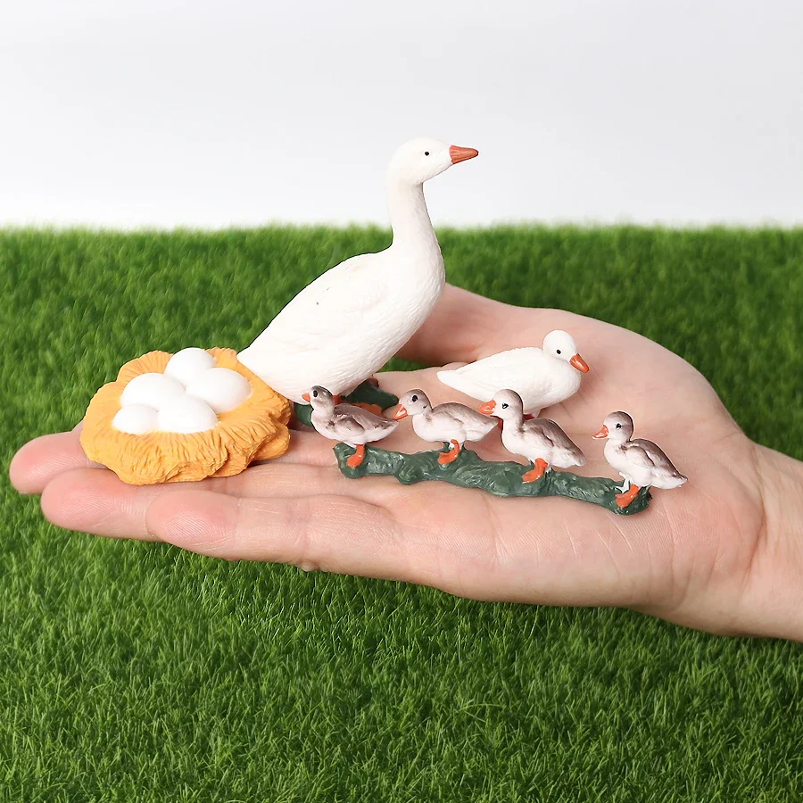 Simulation Poultry Animals Model Figurines The Life Cycle of A Chicken,Rooster,Goose Models Action Figures Educational Toys