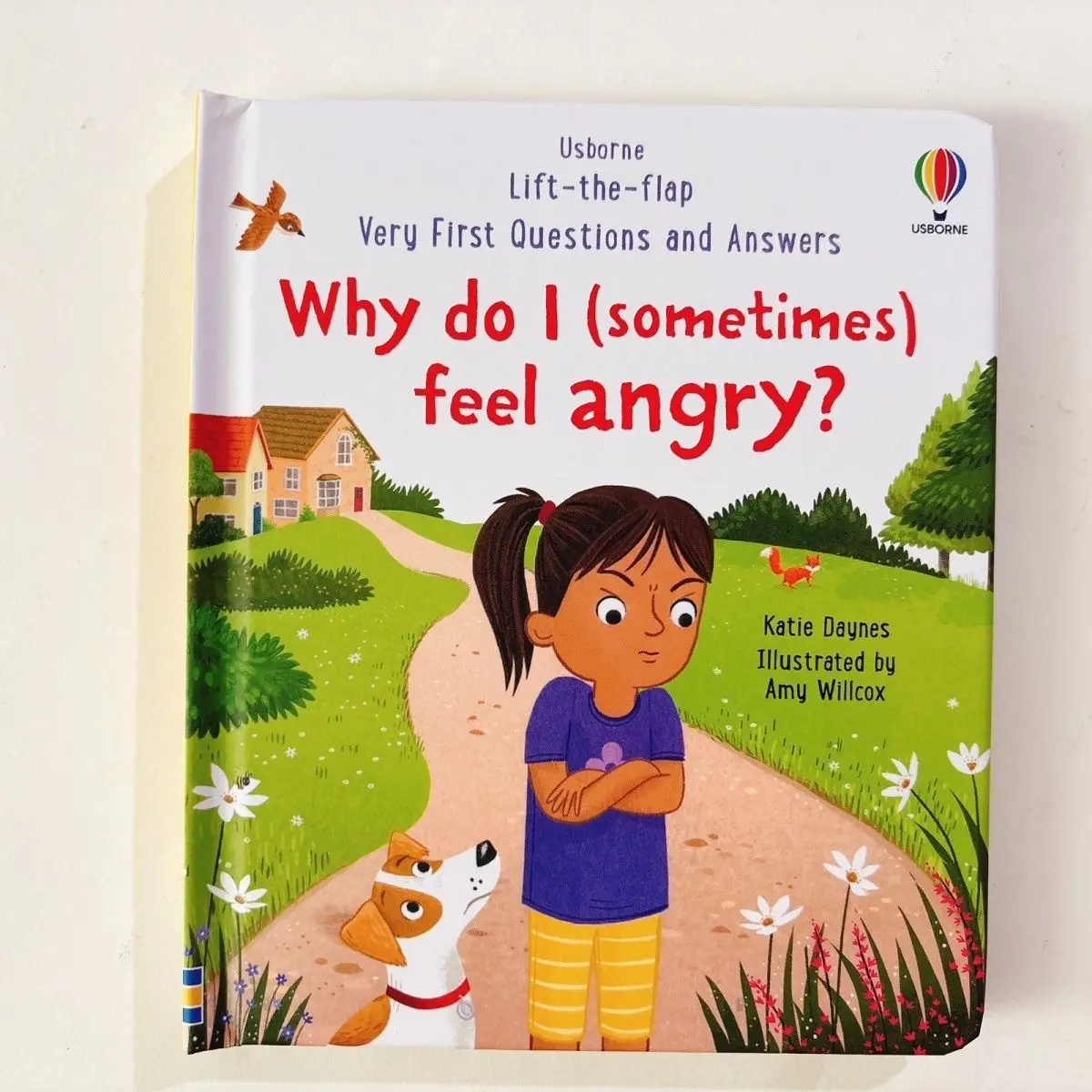 

Why Do I (sometimes) Feel AngryChildren's English Novel