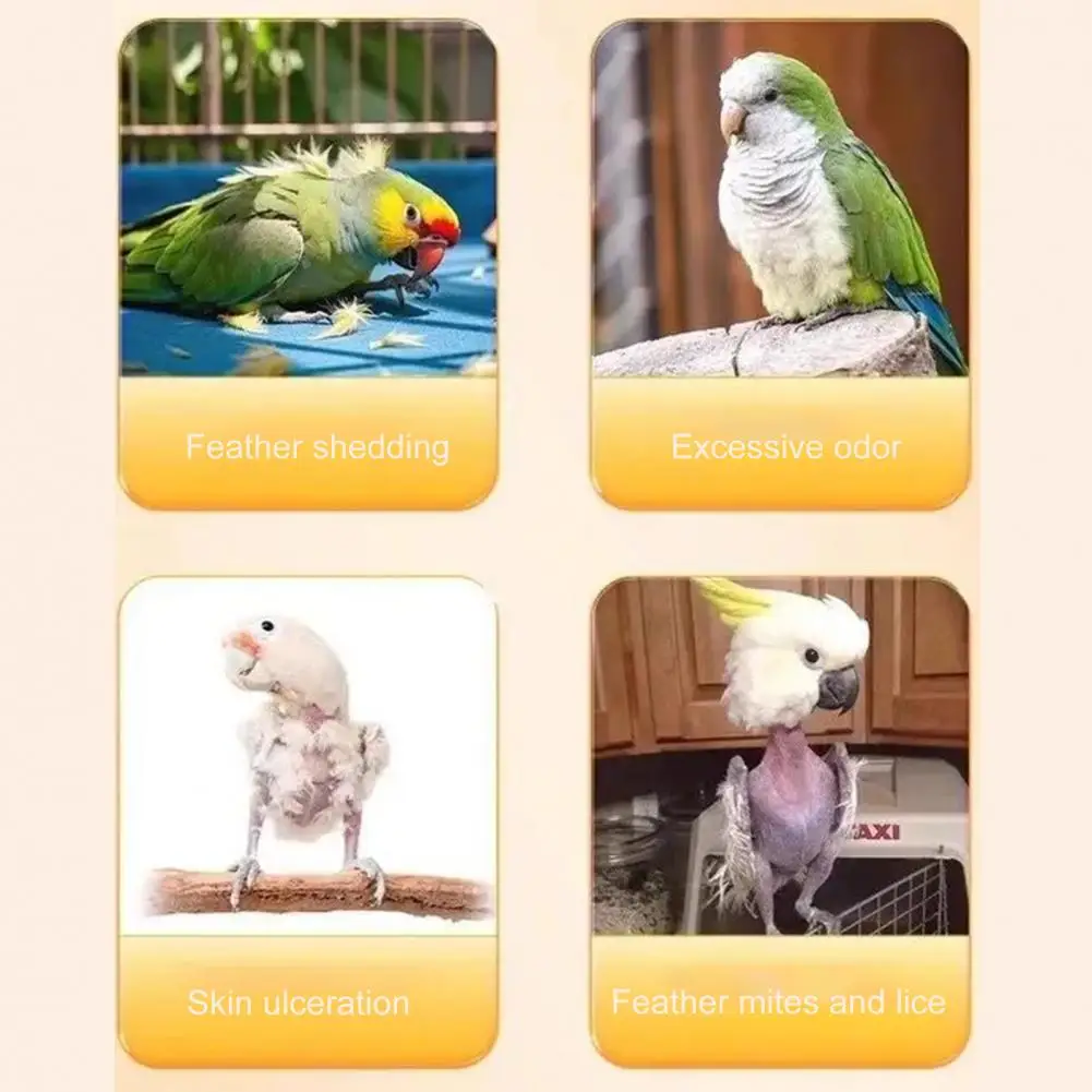 Bite-resistant Parrot Bath Parrot Bathtub with Automatic Circulating Water External Mount Bird Shower Bath Small for Cockatiels