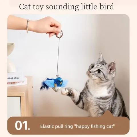 Wall Hanging Bird Cat Teaser