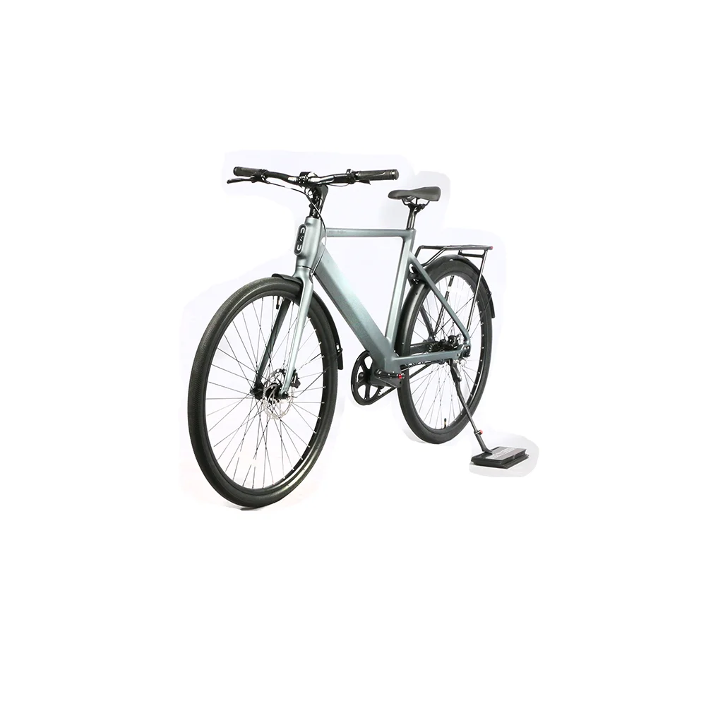 250W Rear Hub Motor Road Electric Bike 36V 10AH Lithium Battery Other Electric Bike Disc Brakes E Bike with Big Digital Display