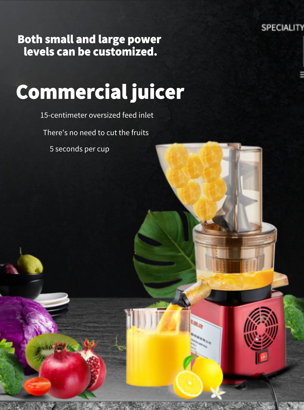 ジューサー、業務用ジューサー、フィットネス専門家向けジューサー、自動多機能ジューサー