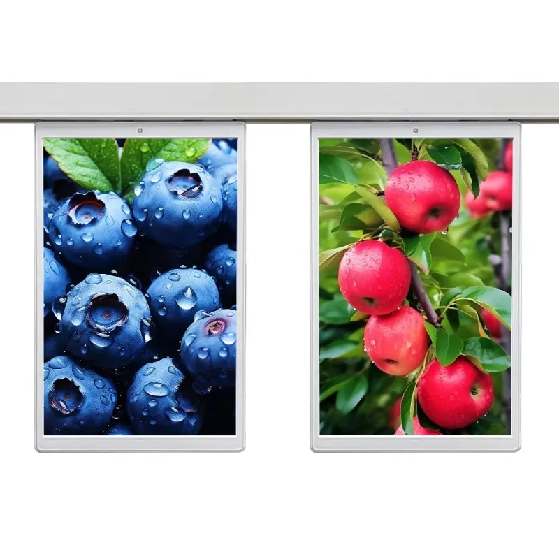 10.2 Inch Multi Color E-ink Display Module 10 Inch Smart ESL Electronic Shelf Label Supermarket