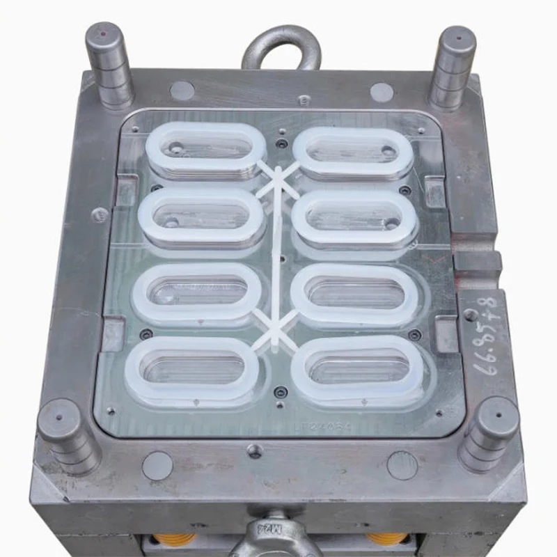 Injection Mould Making Plastic Industrial Mold Injection Mold Multi-Cavity Transparent Plastic Product Molding Mold