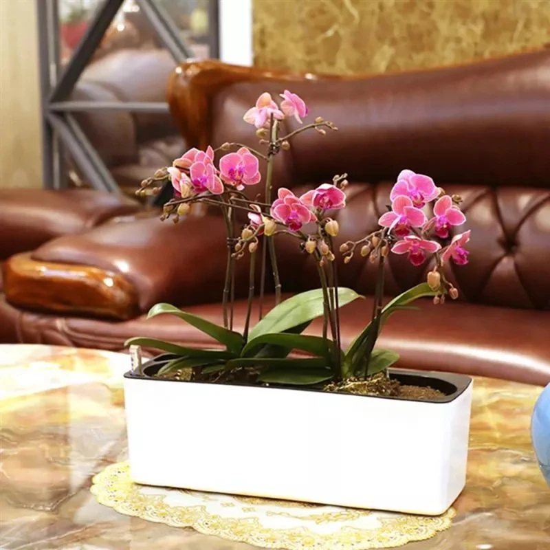 Rectangula Lazy Flower Pot Potted Hydroponic Plastic Flower Pot +Water Level Indicator Automatic Water Absorbing Flower Pot