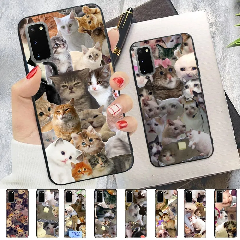 Crying Cat Memes Phone Case For Samsung S 9 10 20 21 22 23 30 23 24 plus lite Ultra FE S10lite Fundas