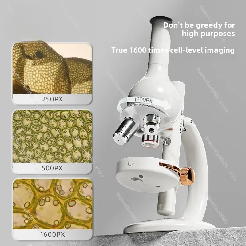 

Optical Microscope 1600 Times Children Can See Bacteria High Definition Electronic Desktop for Junior High School Students