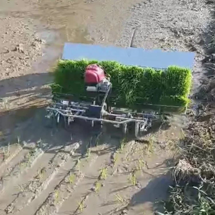 Hot Selling High Efficiency 4-6 Row Rice Transplanter Paddy Planting Machine for Farms Home Use