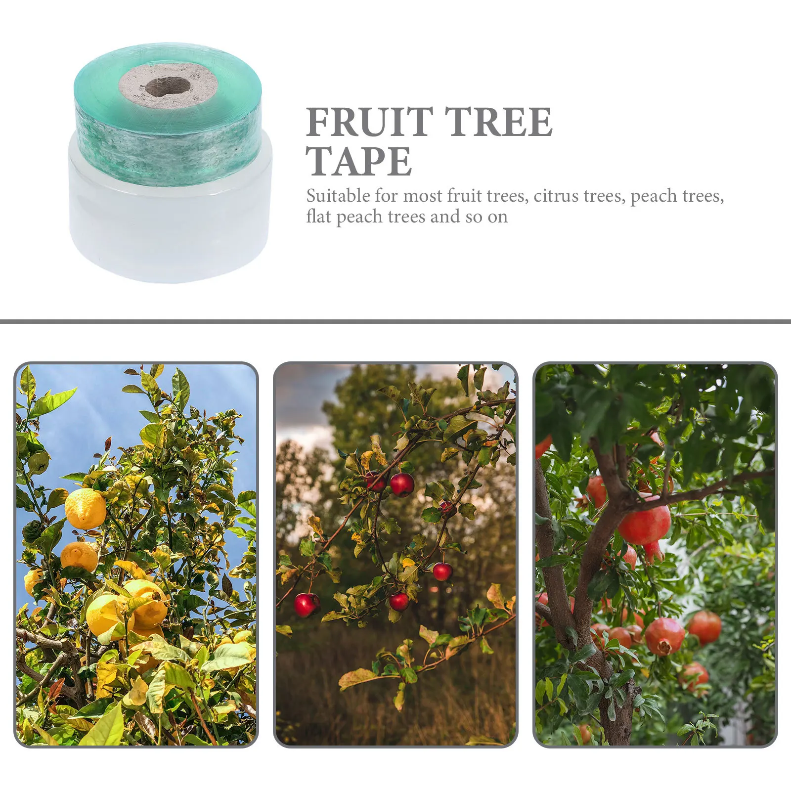 

2 Rolls Self-Adhesive Stretchable Grafting Tapes Plant Repair Tape for Fruit and Floral Trees Grafting Tape Plant Crafting