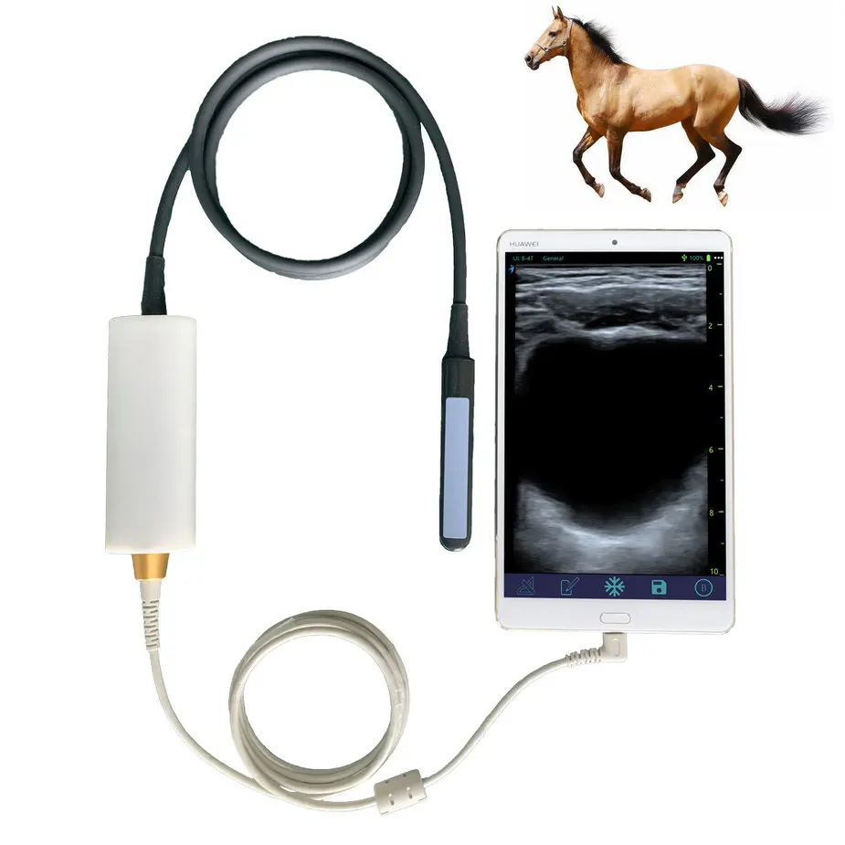 USB Rectal horse cattle cow bovine equine preg nancy test ultrasound veterinary sonar