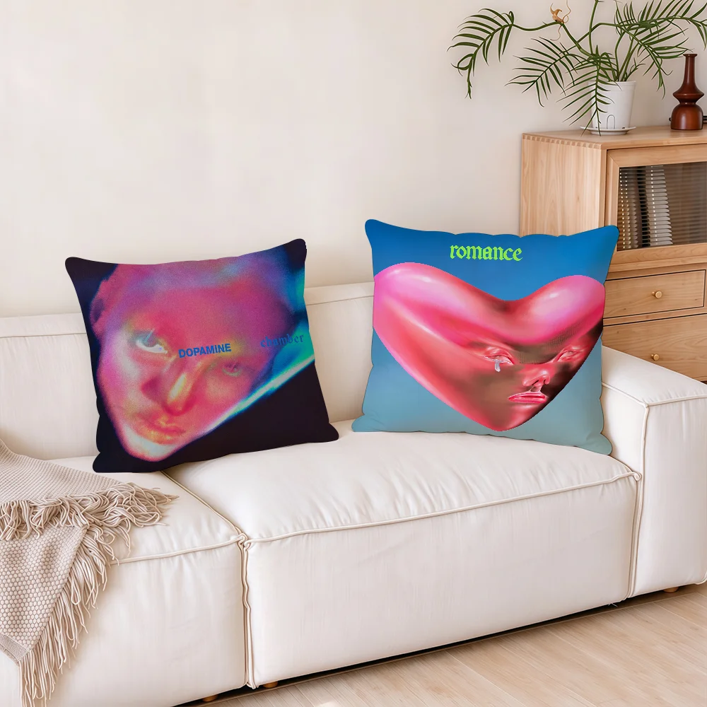 Band F-Fontaines D.C Dopamine Chamber cushion cover Square Office Bedroom Headboard Sofa Living Room Backrest Cushions Sleeping