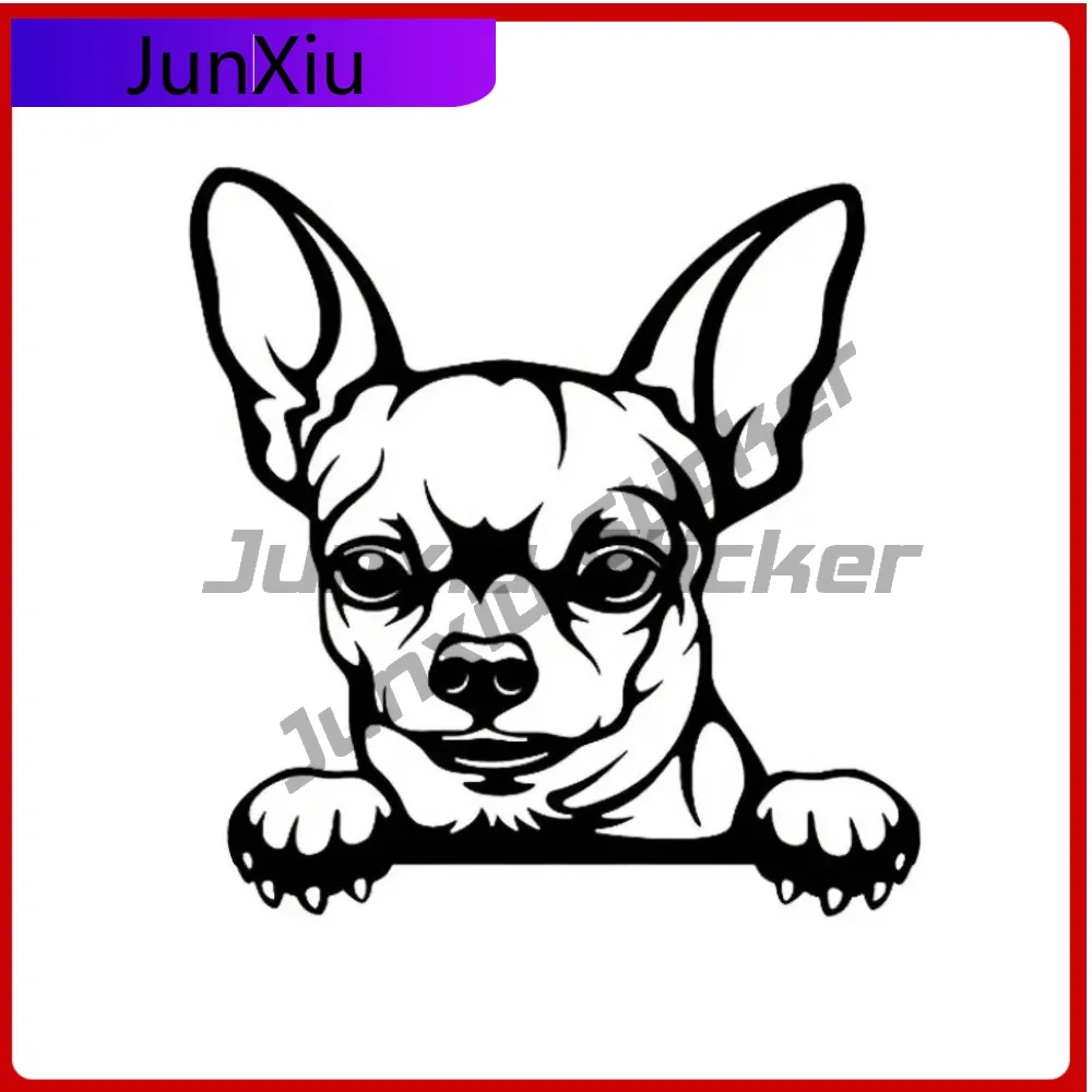 

Peeking Chihuahua for Cars, Vintage Car Laptop Window Bumper Waterproof Vinyl Decal Sticker Cool Unique Retro Cool Cute Cool