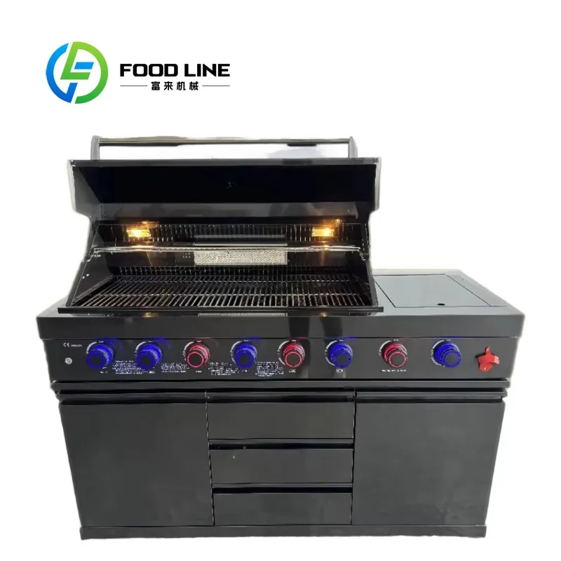 

Customized 5-Burner Natural Gas Grill Free Standing w/ Cast Iron Mesh Side Burner Stainless Steel