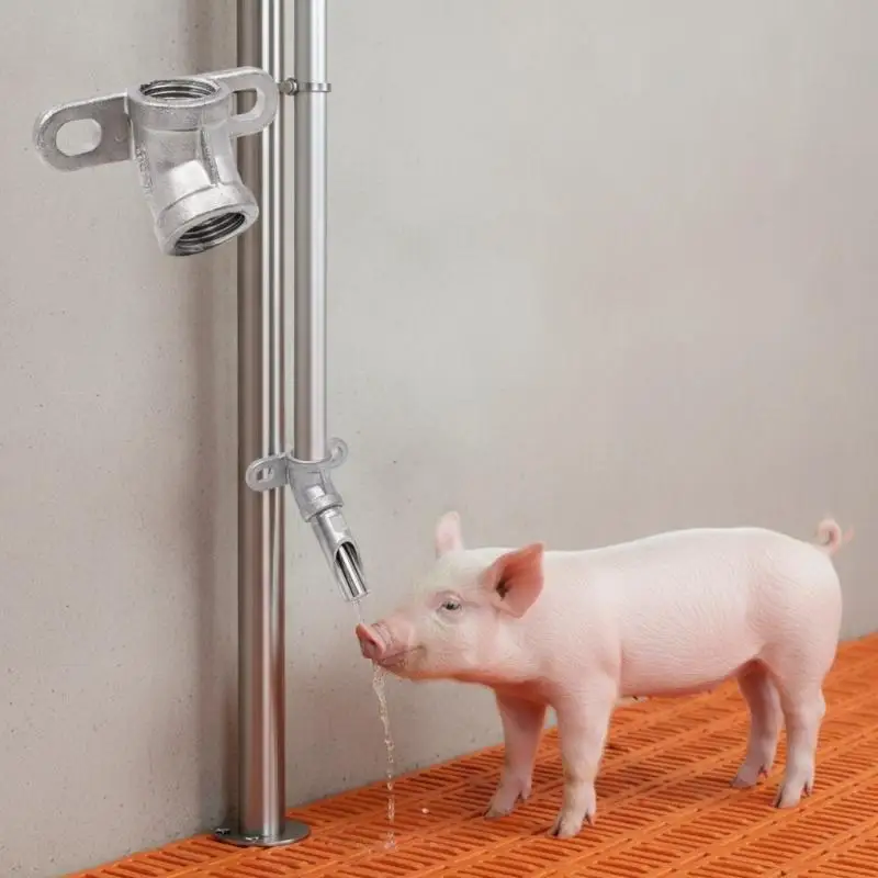 1 Set Pig Drinking Nozzle Automatic Water Feeder Stainless Steel 1 2 Threaded Interface Livestock Drinking Accessory