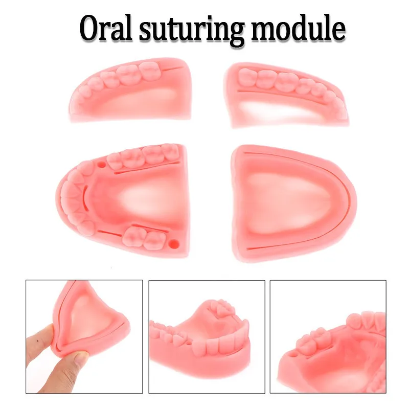 Módulo de sutura Dental Oral/Gingival, sutura de periodontitis, modelo de entrenamiento de silicona, práctica quirúrgica, herramienta de práctica de enseñanza de sutura