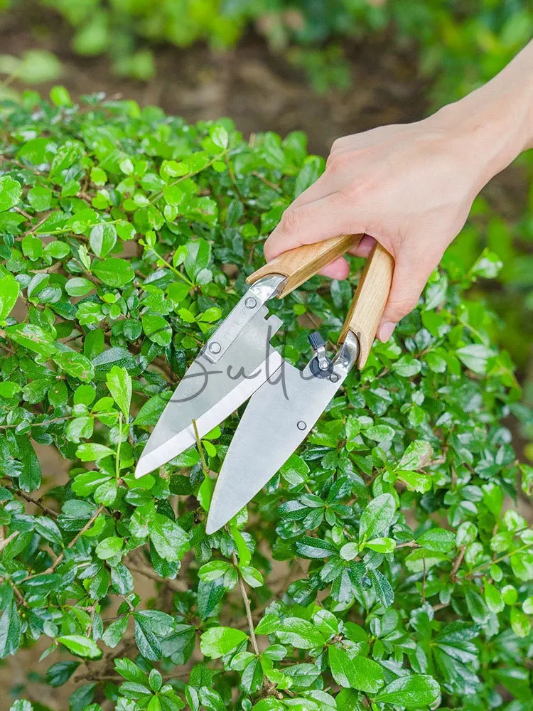 Shrub Shears Hedge Lollipop Shaping Plant Twig Shaping Construction Single Handheld Wool Shears