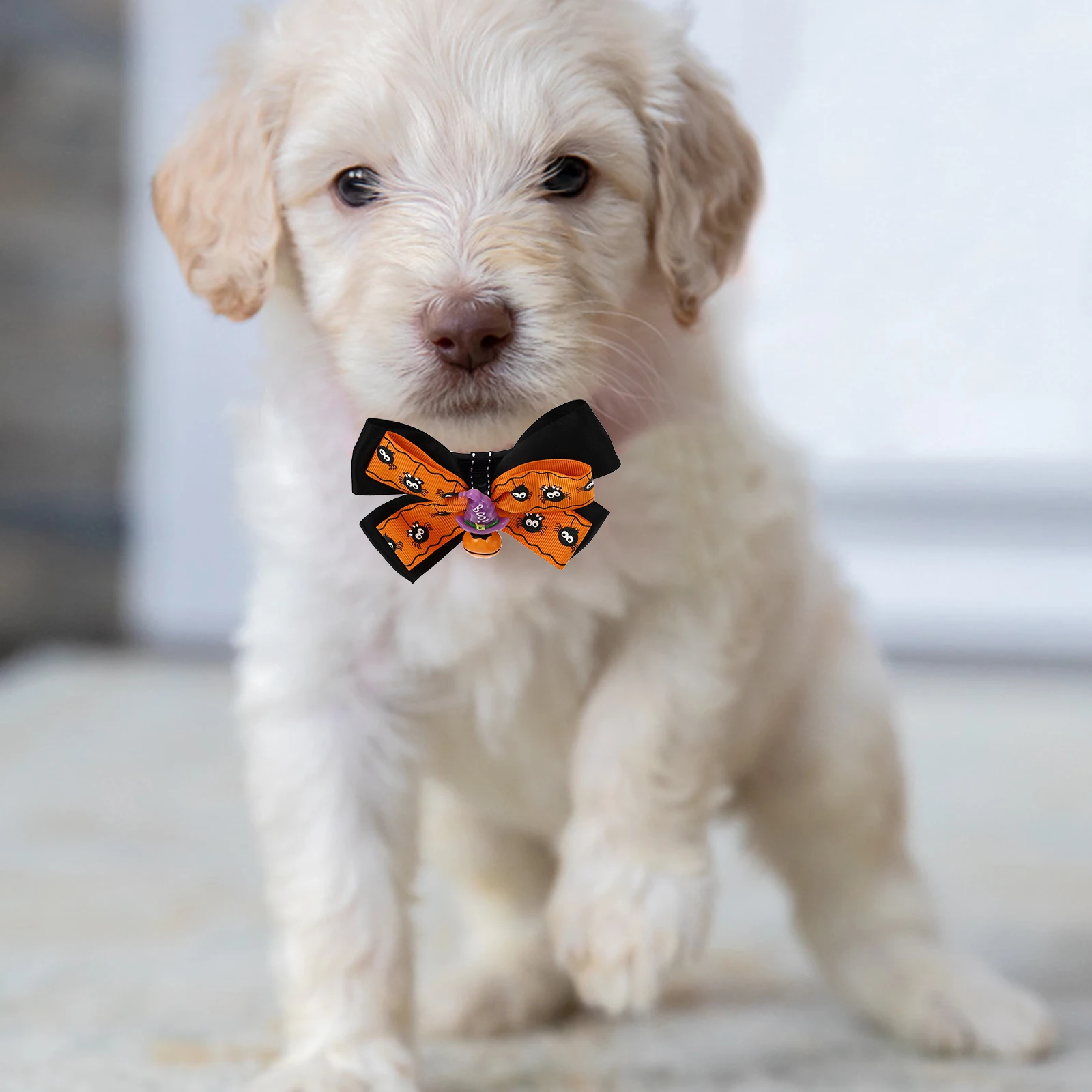 

Pet Bow Tie Bell Necklace Puppy Color Supplies Halloween Cat Decor Collar Party Favor Adjustable